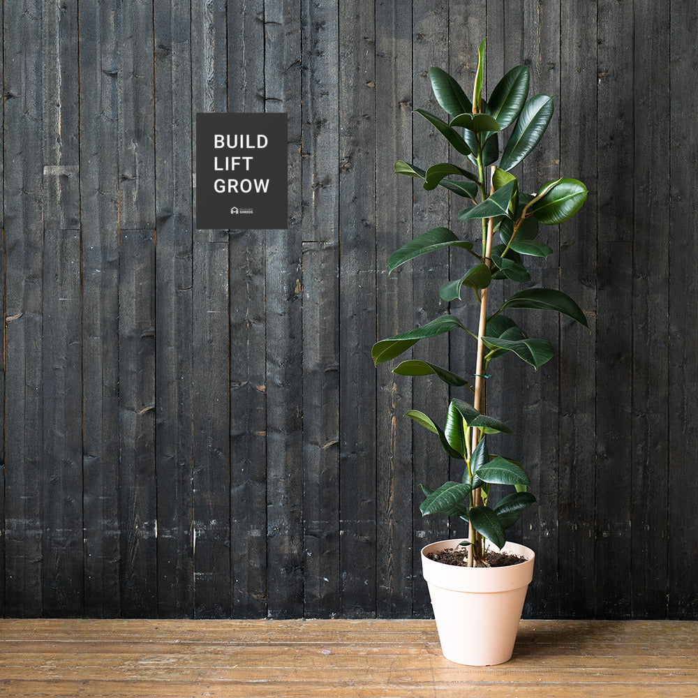 BUILD LIFT GROW - Gym Poster