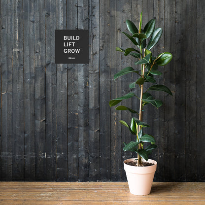 BUILD LIFT GROW - Gym Poster